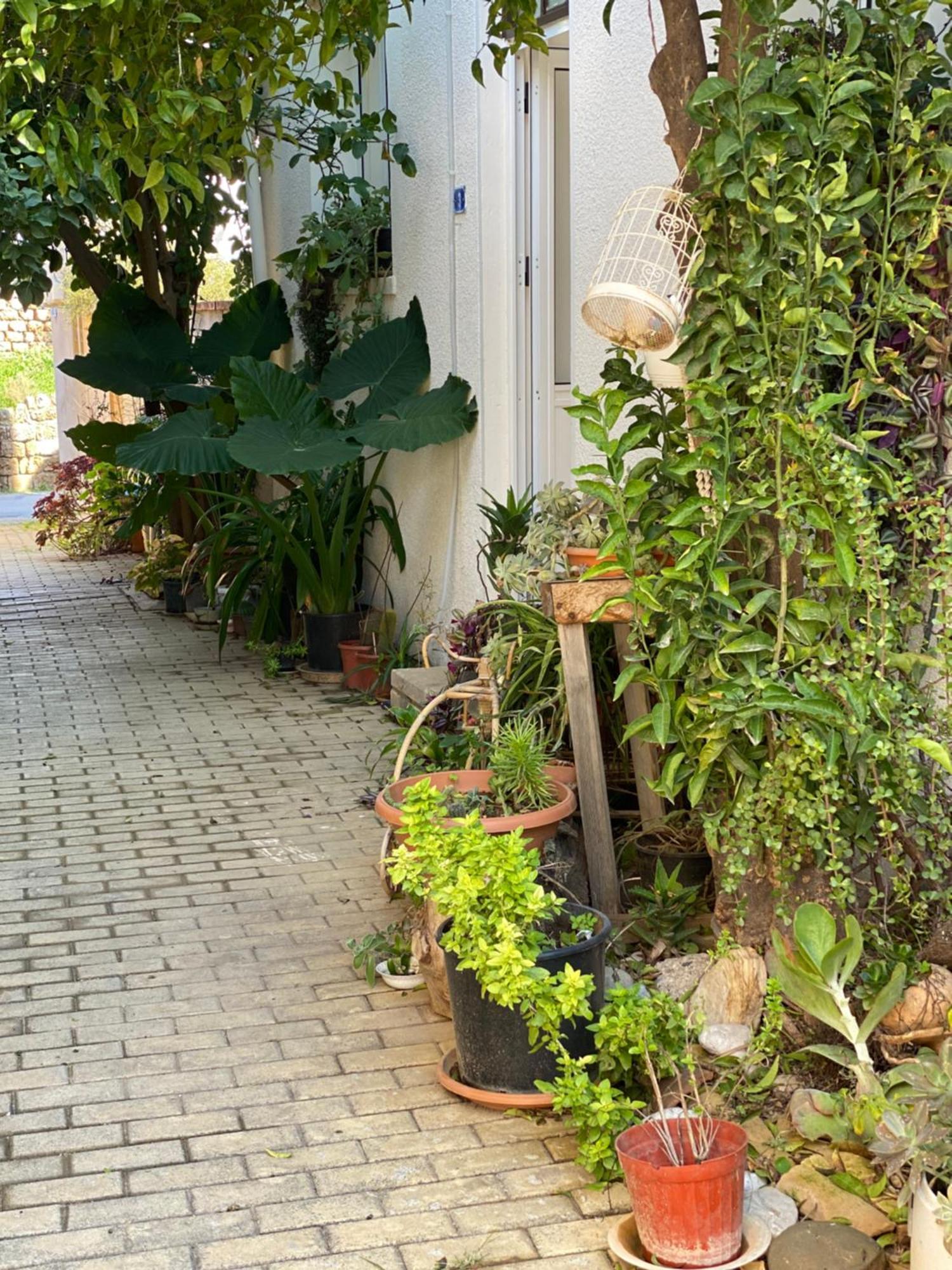 Grandmother'S House Famagusta  Esterno foto