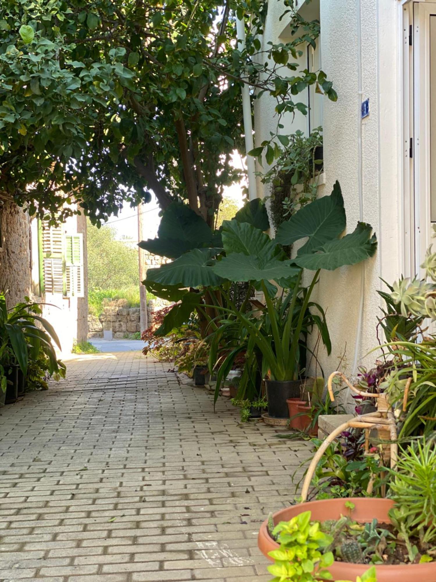 Grandmother'S House Famagusta  Esterno foto